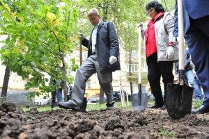Жители Замоскворечья смогут проголосовать за озеленение своих дворов в "Активном гражданине"